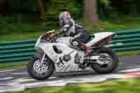 cadwell-no-limits-trackday;cadwell-park;cadwell-park-photographs;cadwell-trackday-photographs;enduro-digital-images;event-digital-images;eventdigitalimages;no-limits-trackdays;peter-wileman-photography;racing-digital-images;trackday-digital-images;trackday-photos